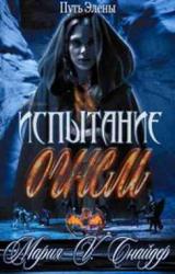 Книга Испытание огнем