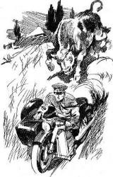 Книга Инспектор милиции