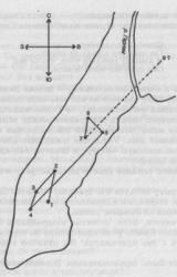 Книга Кот со многими хвостами
