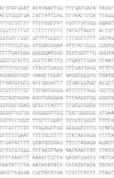 Книга Затерянный мир