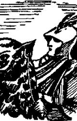 Книга Звездные врата. Суд на Янусе. Победа на Янусе