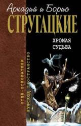 Книга Испытание «СКИБР»