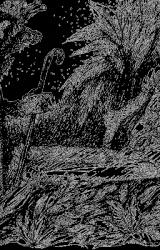 Книга История о Множественниках, их короле Мандрильоне, Советчике его Совершенном и Трурле-конструкторе, который сперва Советчика создал, а потом погубил