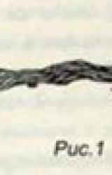 Книга Квиддитч сквозь века