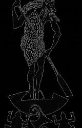 Книга Лягушки