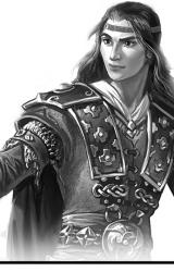 Книга Наследник Магнитной горы