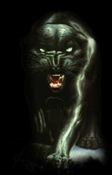 Книга Обезьянник