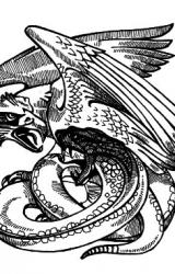 Книга От войны до войны