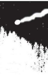 Книга Охота на Шишигу