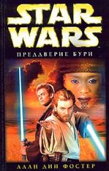 Книга Преддверие бури
