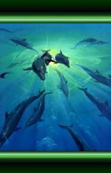 Книга Процент соответствия