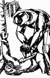 Книга Путь на Амальтею