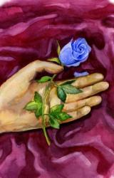 Книга Розы цвета газового пламени