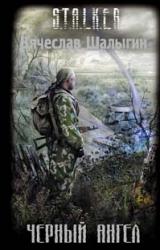 Книга Черный Ангел