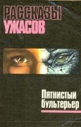 Книга Янычары из Эмиллиона