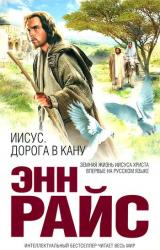 Книга Иисус. Дорога в Кану