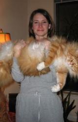 Книга КУРЬЕЗЫ ВОЕННОЙ МЕДИЦИНЫ И